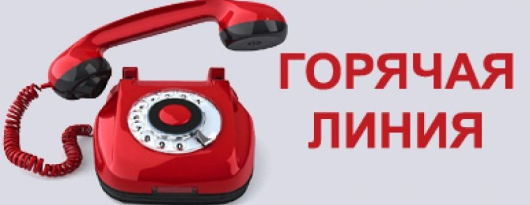 Телефон Горячей линии для связи с директором МОУ &quot;СОШ № 43&quot; г. Воркуты Науменко Людмилой Александровной.